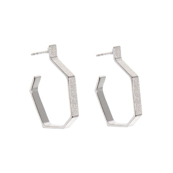 Hoops Silver Earrings