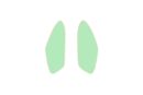 Leaves Small Earrings