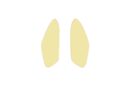 Leaves Small Earrings