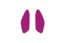 Leaves Small Earrings